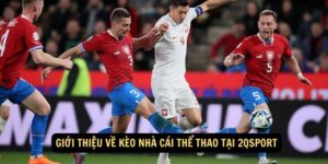 Gioi thieu ve keo nha cai the thao tai 2qsport