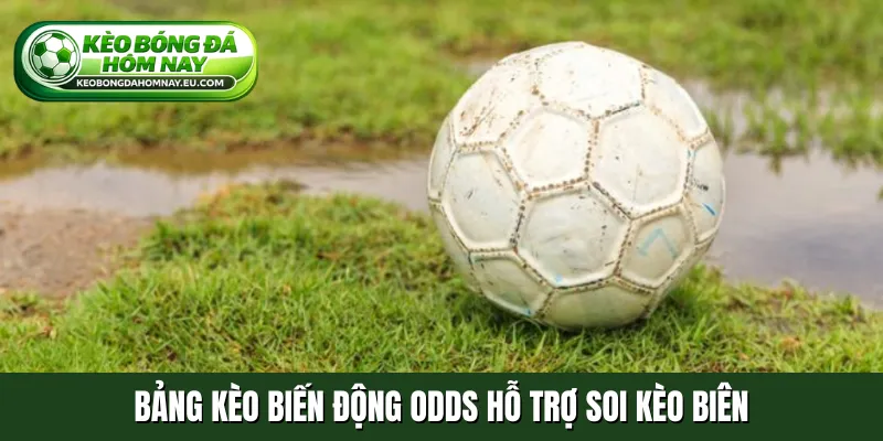 Bảng kèo biến động odds hỗ trợ soi kèo biên
