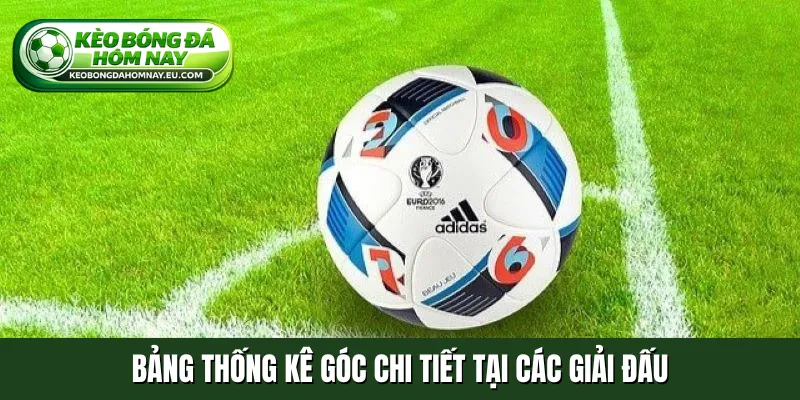 Bảng thống kê góc chi tiết tại các giải đấu