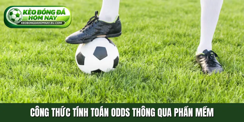 Công thức tính toán odds thông qua phần mềm