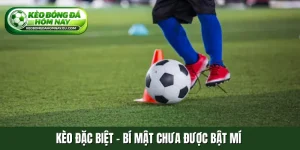 Kèo đặc biệt