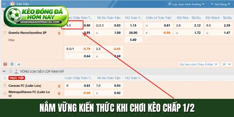 Nắm vững kiến thức khi chơi kèo chấp 1/2