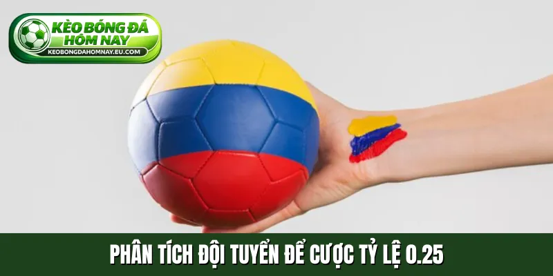 Phân tích đội tuyển để cược tỷ lệ 0.25