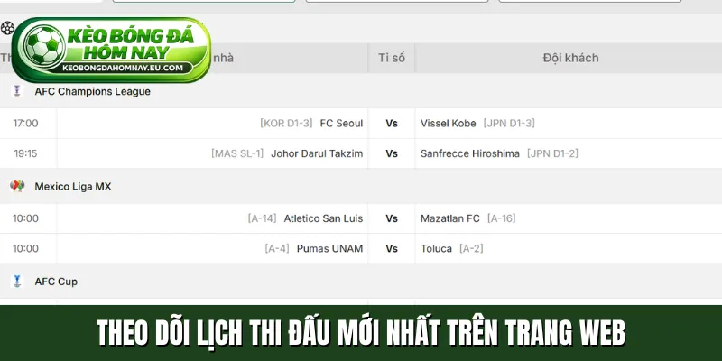 Theo dõi lịch thi đấu mới nhất trên trang web