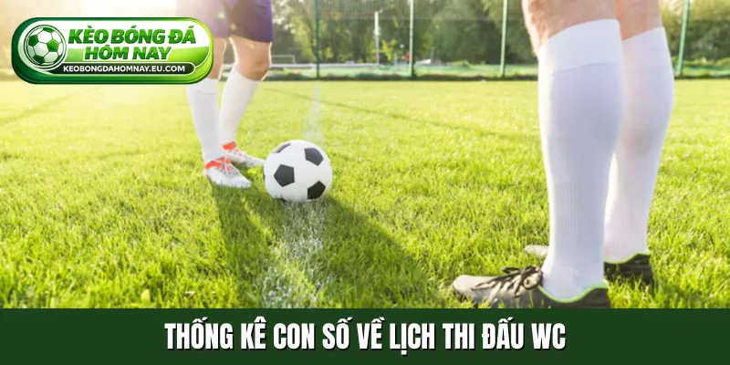 Thống kê con số về lịch thi đấu WC