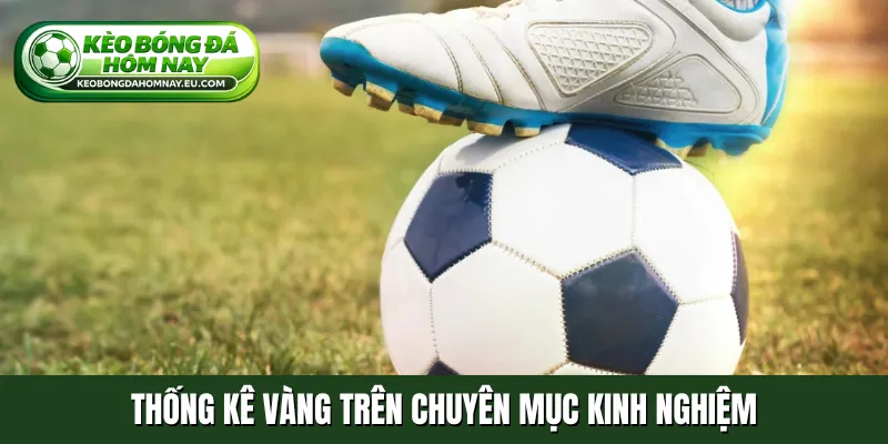 Thống kê vàng trên chuyên mục kinh nghiệm