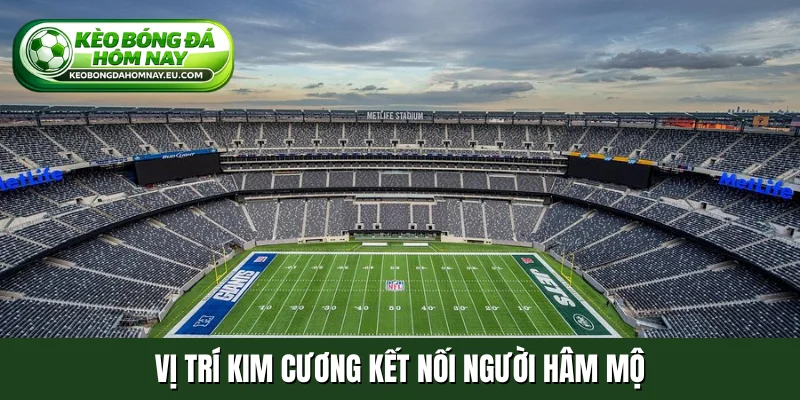 Vị trí kim cương kết nối người hâm mộ
